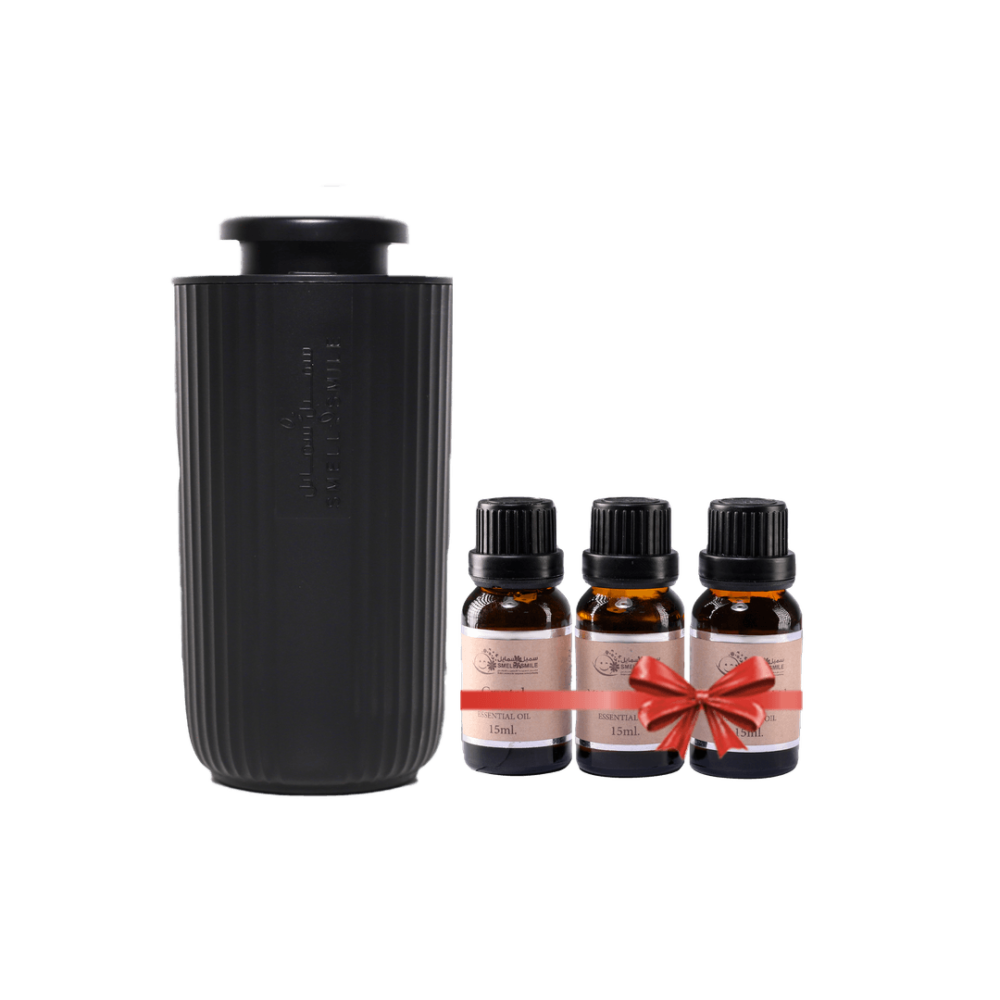 AC601 mini car aroma diffuser